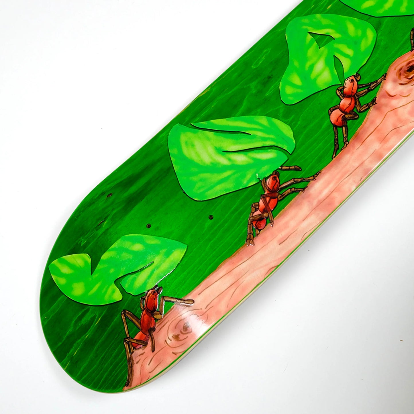 Snack "Leafcutter" Deck - 8.5"