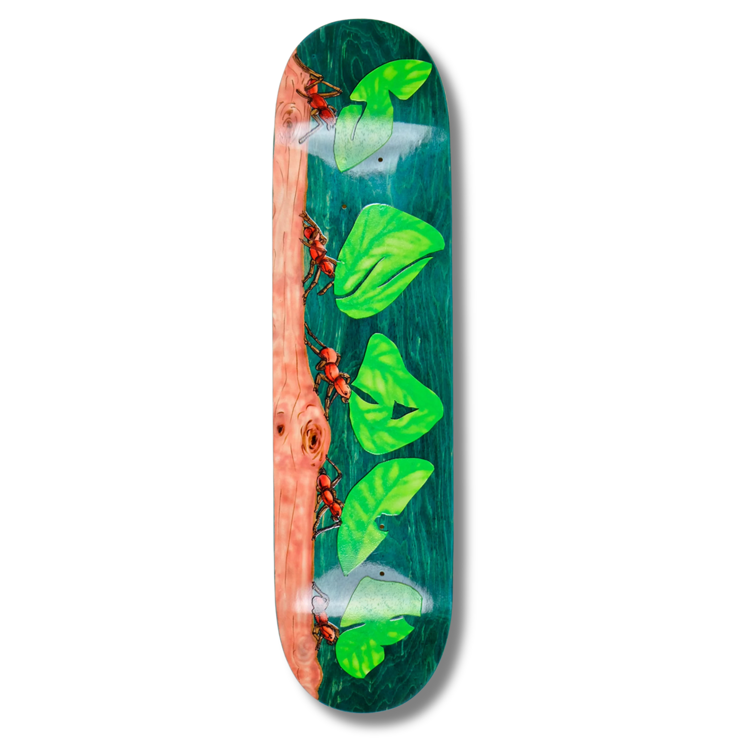 Snack "Leafcutter" Deck - 8.5"